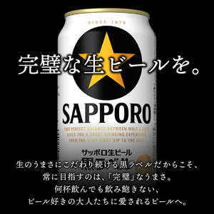 【定期便 12回】ビール 黒ラベル サッポロ 500ml (T0096-2112)