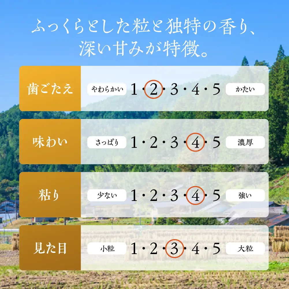 新米予約受付【2026年産米】（2026年11月から順次発送）かみはら山水農園　山水育ち (コシヒカリ）10kg（5kg×2袋）【28-4】
