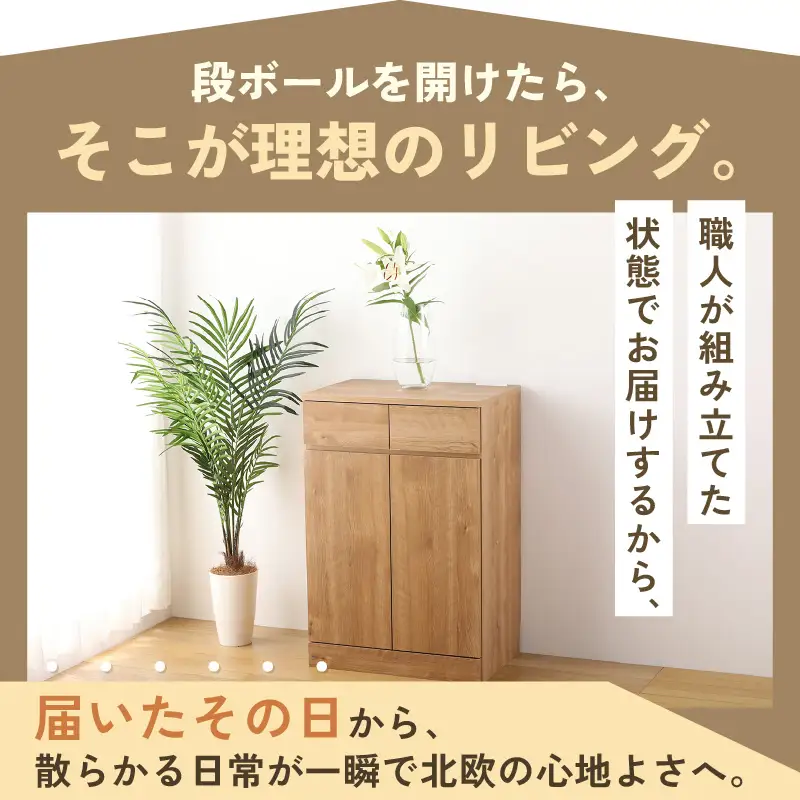 シンプルキャビネットチェスト幅60タイプ 組み立て済み 家具 収納 インテリア [I-15201]