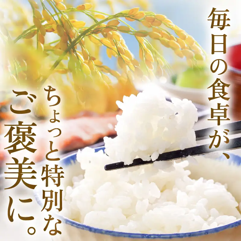 令和8年産・新米 コシヒカリ 10kg（精米） [B-11302_03]