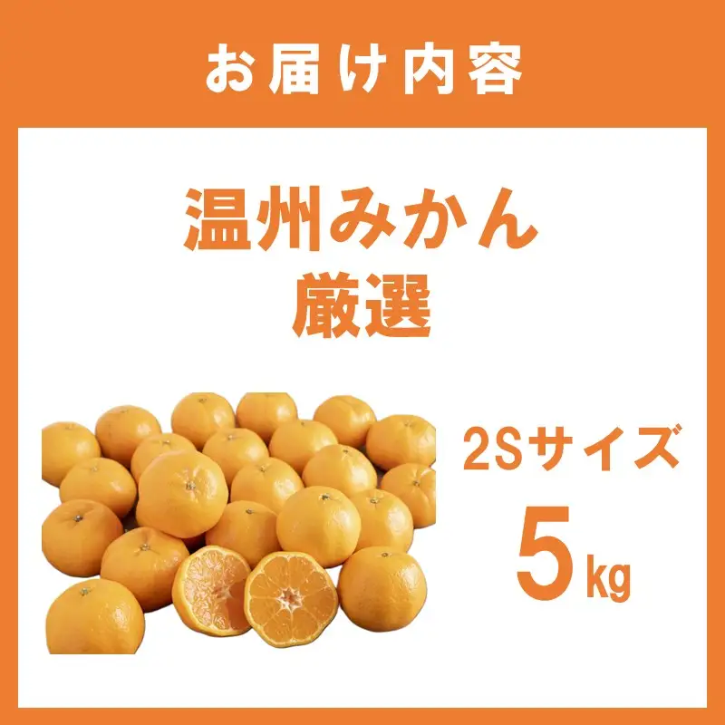温州みかん厳選(2Sサイズ) 5kg【1004-3】