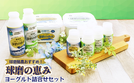 ヨーグルト詰合せ 球磨の恵み のむヨーグルト 生乳100% ヨーグルト詰合せ【1kg×2 のむ450g×2 150g×6】