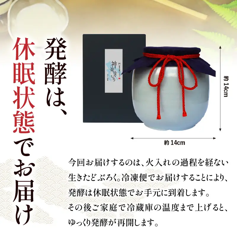 【辛口（神楽まいり　度数：15度）】 御神水源どぶろく 900ml×1本 生酒 火入れなし自宅で 熟成発酵できる オリジナルの味が楽しめる 生 どぶろく どぶろく お酒 酒 アルコール 晩酌 化粧箱 化粧箱入り 箱入り 贈答 贈り物 ギフト プレゼント 宮崎県 高千穂町 _Tk015-012-kara