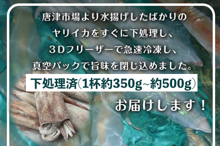 唐津呼子産 丸ごといか(大サイズ)下処理済 1kg以上 海鮮 新鮮 刺身 フライ 煮物 姿焼 「2023年 令和5年」