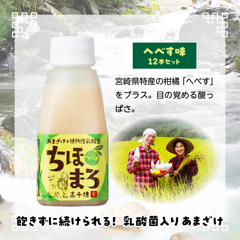 乳酸菌入りあまざけ ちほまろ 150g　12本セット【へべすのみ】 ノンアルコール 贈答 贈り物 おすそ分け 日課 ドリンク 無添加 無加糖 飲み物 乳酸飲料 飲料 宮崎県 高千穂町 _Tk015-017-e12