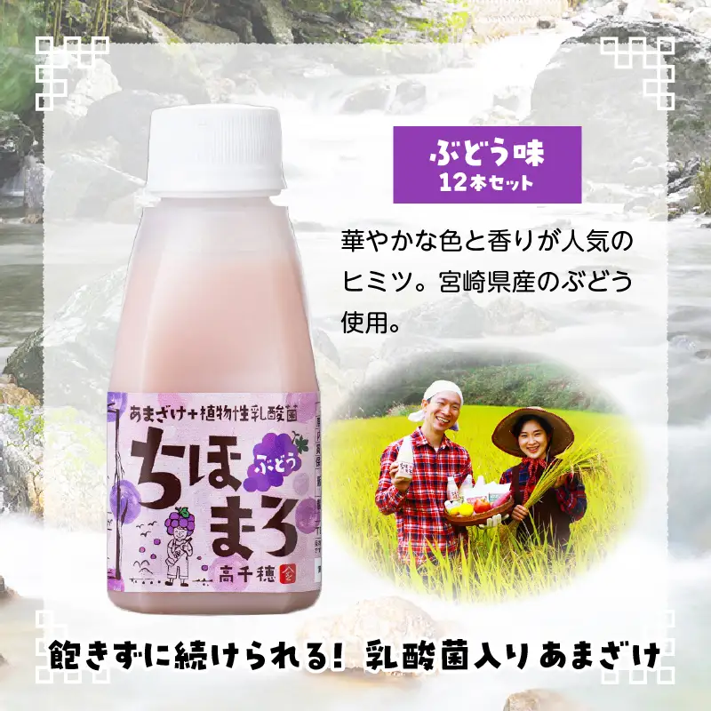 乳酸菌入りあまざけ ちほまろ 150g　12本セット【ぶどうのみ】ノンアルコール 贈答 贈り物 おすそ分け 日課 ドリンク 無添加 無加糖 飲み物 乳酸飲料 飲料 宮崎県 高千穂町 _Tk015-017-g12