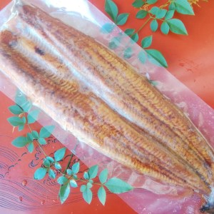 定期便 3回 四万十うなぎ 230g×3回 愛南ゴールド 入り うなぎのたれ セット うなぎ 蒲焼 ひつまぶし 国産 鰻 土用の丑の日 タレ ごはん ギフト 贈答用 山椒 四万十 愛南 愛媛