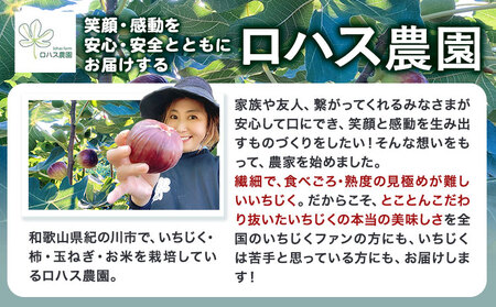 いちじくロハス農園【配送不可地域あり】