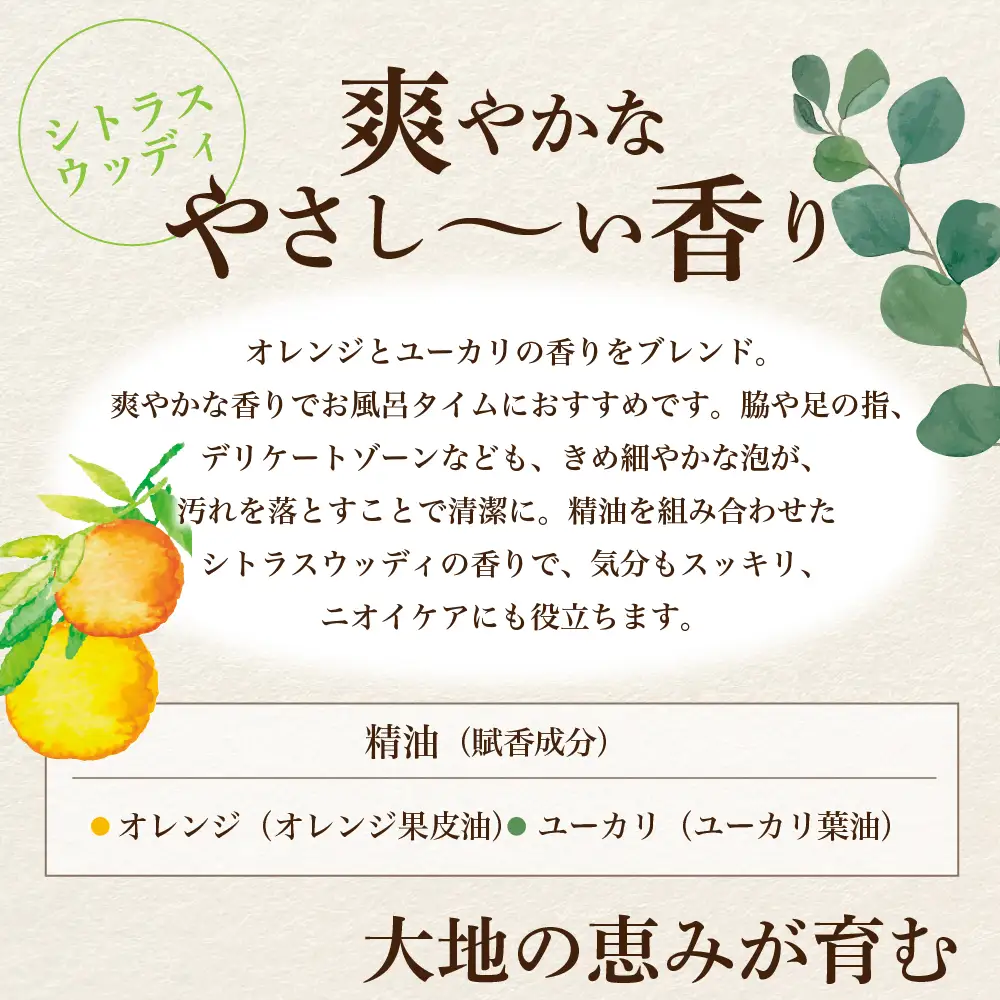 スキンケア モイストボディウォッシュ 500ml×2本 スキンケア