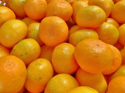 【先行予約】湯の花 季節の温州みかん10kg箱　【 温州みかん 】