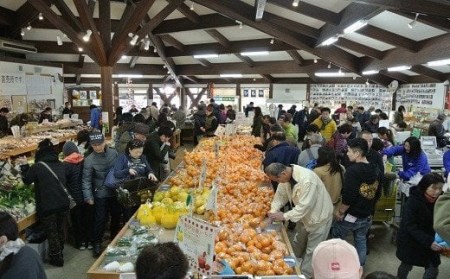 【先行予約＿2027年出荷分】湯の花　ポンカン10kg箱セット