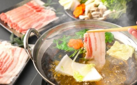 【 定期便 3回】 米の恵み 九重 “夢”ポーク の シャブシャブ セット しゃぶしゃぶ 豚肉