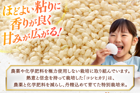 令和7年度 特別栽培米 コシヒカリ 玄米 5kg