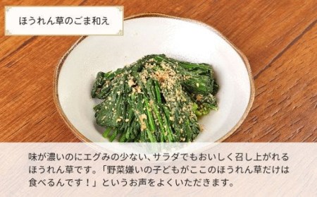 大分県産 高原 ほうれん草 3kg (200g×15袋) 高原野菜