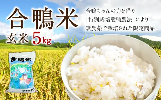 〈令和7年産〉合鴨米 玄米 5kg【2025年10月上旬～2026年10月上旬発送予定】