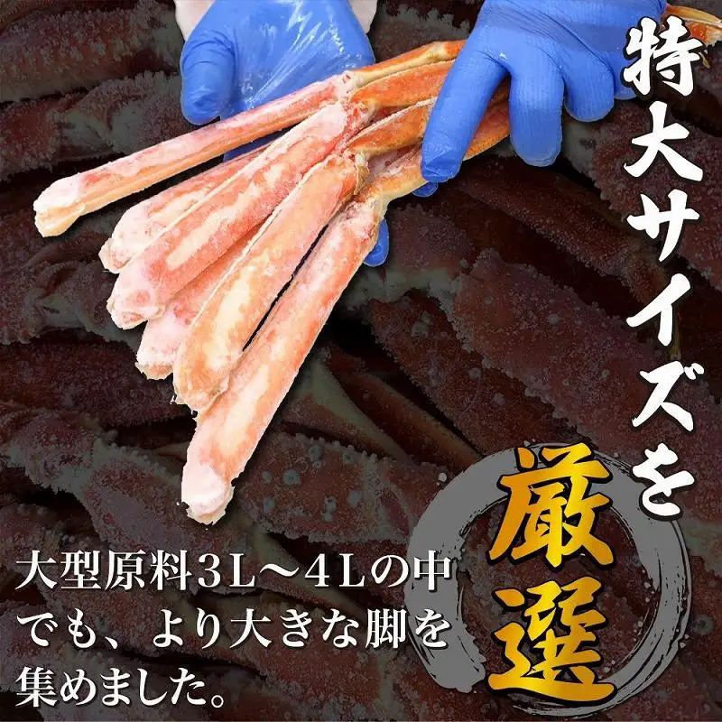 ズワイガニ ハーフポーション 特大サイズ 1.6kg ボイル・カット済み＜福岡市製造＞ ズワイガニ カニ