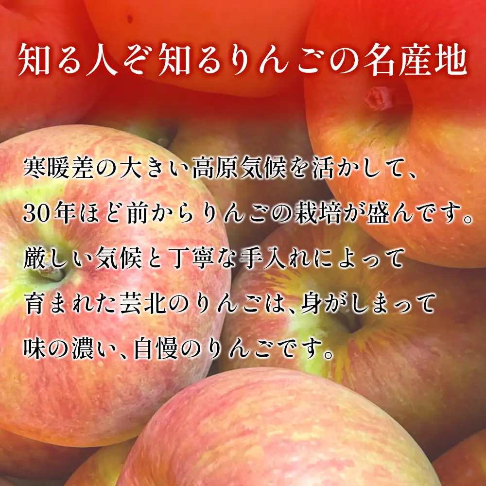 ≪10月中旬以降発送≫りんご 国産 3kg 農家直送 槇原農園 芸北りんご 林檎 トキ 早生ふじ 千秋 シナノドルチェ シナノスイート ぐんま名月 シナノゴールド ふじ_MA077_001