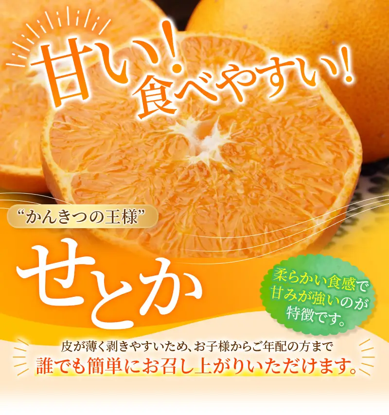 せとか たにぐち農園のせとか 4.5kg ご家庭用【mtn012C】