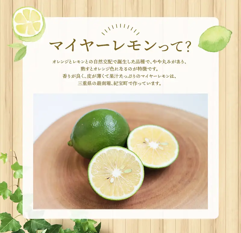 レモン マイヤーレモン はぎファーム 3kg【hgf001A】