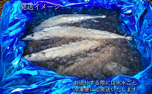 道東産 さんま2kg(16-18尾）【氷水ごと冷凍便にて発送】 さんま 北海道 釧路 旬 海鮮 新鮮 魚 魚介 2kg 獲れたて 014-0628