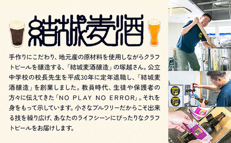 つむぎの郷発祥！クラフトビール 330ml おまかせ 6本 定期便 6回 株式会社結城麦酒《90日以内に出荷(土日祝除く)》茨城県 結城市 クラフトビール お酒 酒 ポップ 結城市産