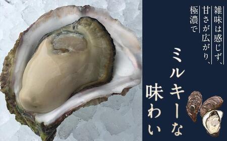 【先行予約 2026年3月下旬以降発送】長崎県五島列島産【超極濃プレミアム】岩牡蠣20個入（1個100g～150g×20）