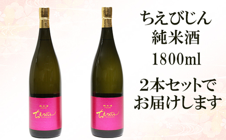 受賞 日本酒 純米酒 ちえびじん 1800ml 2本セット【中野酒造】 世界一 日本酒 初心者 フルーティー 九州 大分県 地酒 一升 ＜110-002＞