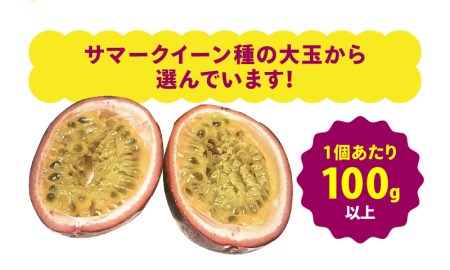 【 2027年 先行予約 】《 厳選 大玉 》 高糖度 ！ パッションフルーツ 約1.3kg（12個） A059-004 高糖度パッションフルーツ 完熟パッションフルーツ 果物 フルーツ 果実 南国フルーツ 先行受付 事前受付 事前予約 予約 受付 美味しい おいしい 鹿児島県 鹿児島 甘い あまい 甘み 酸味 爽やか 完熟 奄実くらふとファーム ふるさと納税 奄美市 おすすめ ランキング プレゼント ギフト