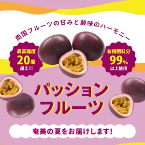 【 2026年 先行予約 】 高糖度 パッションフルーツ 約1.6kg A059-005