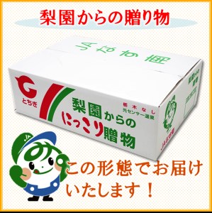 14-8【期間限定】梨（にっこり）秀　約5kg（7玉程度） ｜ なし フルーツ 果物 新鮮 デザート　※2026年10月～発送