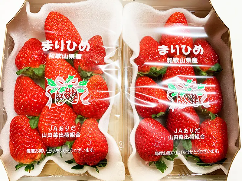 【来シーズン先行予約】紀州和歌山ブランドいちご「まりひめ」約２８０ｇ×２Ｐ※2027年1月上旬頃～2027年3月上旬頃順次発送（お届け日指定不可）【uot759】