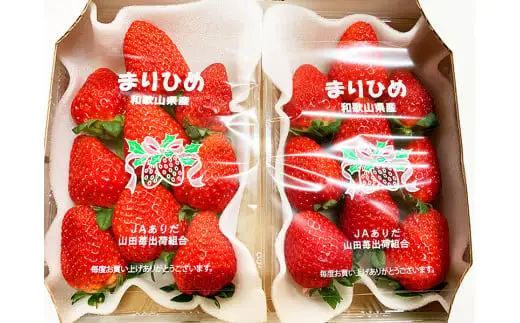 【来シーズン先行予約】紀州和歌山ブランドいちご「まりひめ」約280g×2P ※2027年1月上旬頃～3月上旬頃に順次発送予定（お届け日指定不可）【uot759】