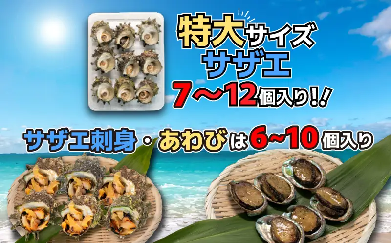 サザエ あわび セット 冷凍 サザエ FK