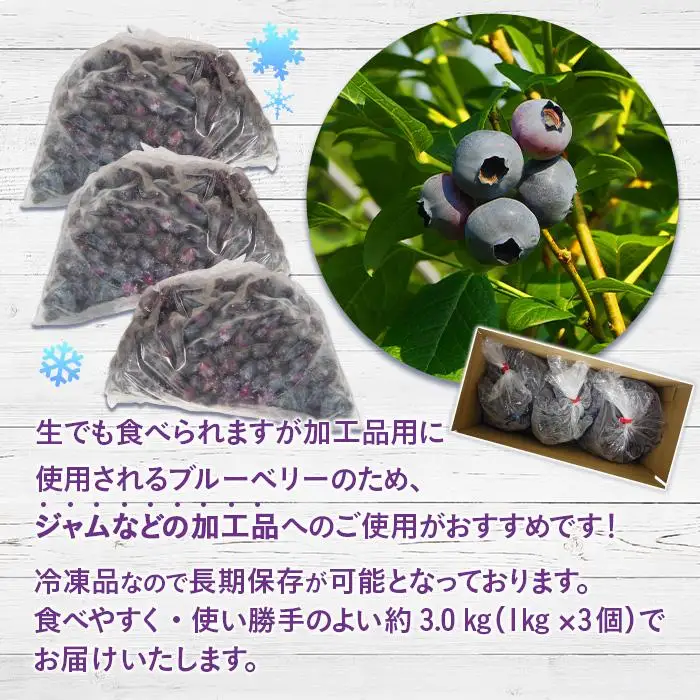 【由布市湯布院町産】 訳あり 冷凍ブルーベリー 3kg（1kg×3個）