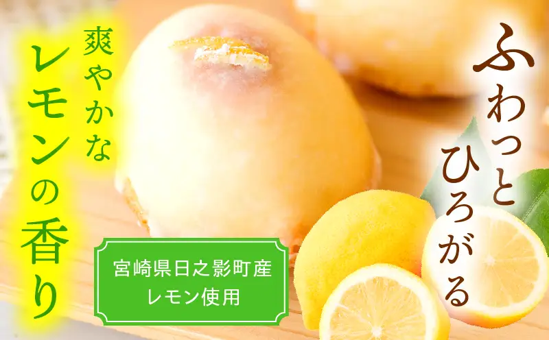 訳あり「宮崎レモンケーキ」 10個入りサイズ不揃い 欠けあり みやざきフードアワード審査員賞受賞 食品添加物不使用 宮崎県産 レモン 卵 高千穂町 _Tk022-015