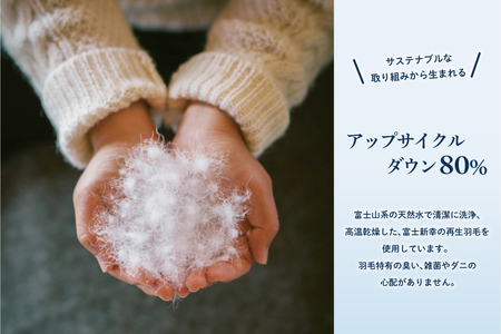 【富士新幸謹製】訳あり 羽毛布団 本掛け セミダブル［色柄おまかせ］「サステナブルな羽毛」アップサイクルダウン※着日指定不可 DSI014