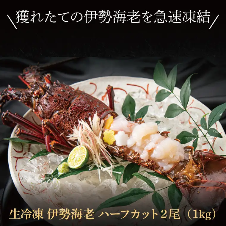生冷凍 伊勢海老 2尾 1kg _AP031