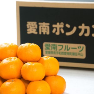 【先行予約】訳あり 減農薬 ポンカン 3kg 愛南フルーツ 【2027年1月中旬～発送開始】