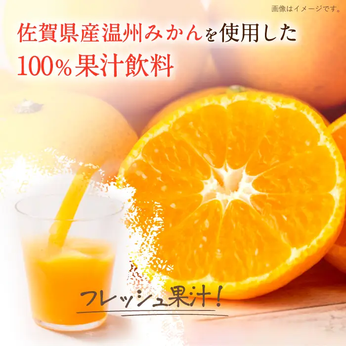 サンレイみかんジュース みかん100 1L×6本 みかんジュース[FCC016]