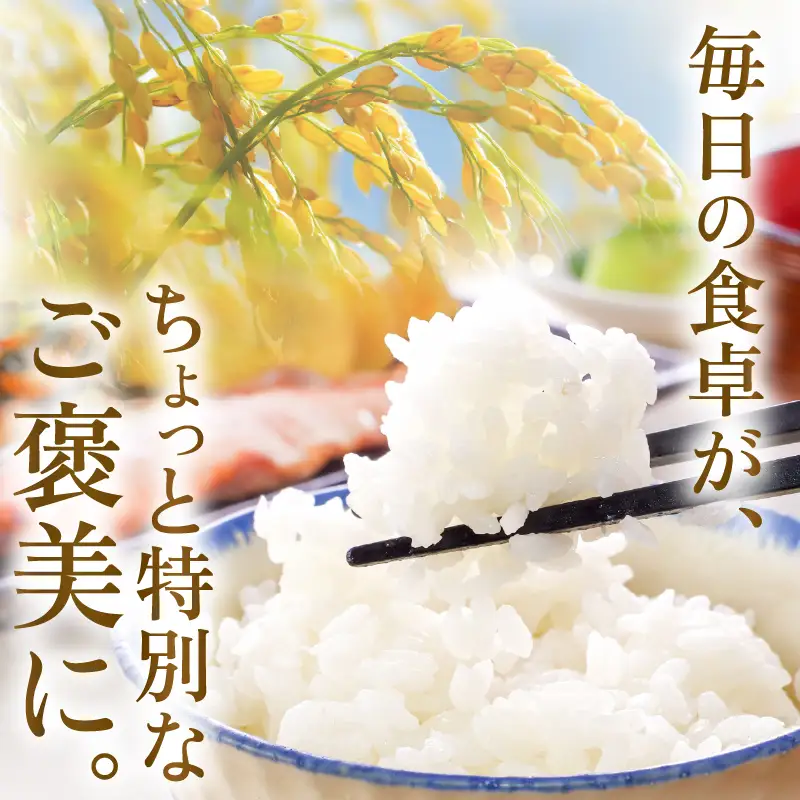 令和8年産・新米 コシヒカリ 計5kg（玄米） [A-11309_02]