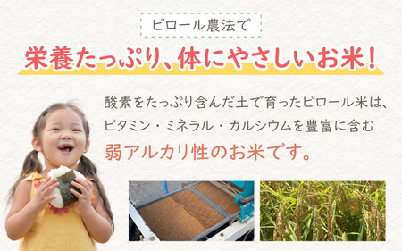【令和7年産 新米】【3ヶ月定期便】ミネラル豊富！弱アルカリ性のピロール米 ミルキークイーン 玄米 10kg（5kg×2袋）×3回 計30kg　化学肥料5割以下・減農薬[E-008002]