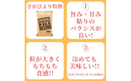 令和7年産 《無洗米》 食べ比べ さがびより ＆ 夢しずく 各5kg(計10kg) 086-B1033 