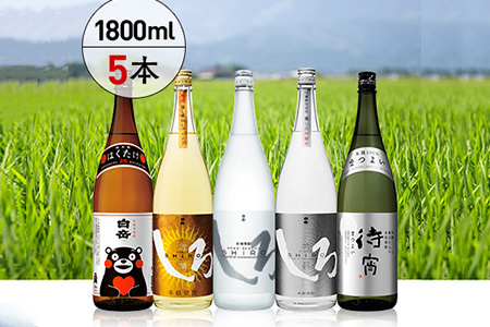 白岳・ 厳選 一升瓶 1800ml × 5本セット 計9L ＜白岳4種・待宵セット＞ 白岳4種 はくたけ 白岳 白岳しろ しろ 謹醸しろ 吟麗しろ 肥後時習館 待宵 まつよい 厳選 まろやか 華やか 原酒 本格 本格米焼酎 米焼酎 お米 米 焼酎 しょうちゅう 芳醇 ブレンド 飲み比べ 焼酎飲み比べ 詰め合わせ 焼酎詰め合わせ 熊本県 熊本 多良木町 多良木 018-0484