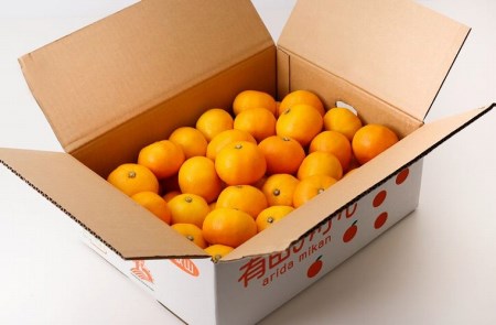 ＼光センサー選別／ ＼ もぎたて新鮮！／ 有田みかん 約10kg（箱込み） 生産者直送 先行予約 【ご家庭用（訳あり品ではありません）】【11月上旬～1月上旬に発送（日付指定不可）】 サイズ混合 みかん ミカン 和歌山 柑橘 フルーツ 産地直送 農家直送【nuk144】