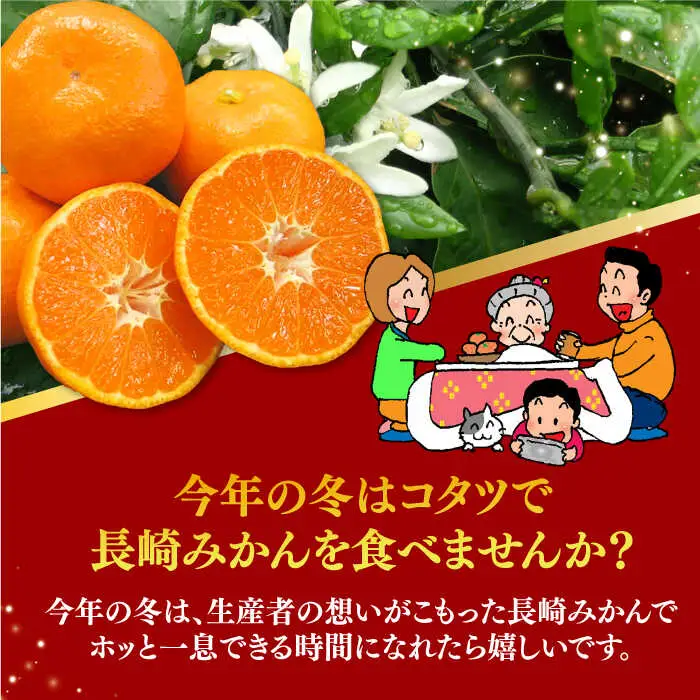 【温州みかん】ご家庭用温州みかん約10kg（100-120個）[EAH003]