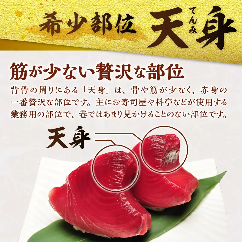 マグロ 赤身 訳あり 刺身 ミナミマグロ 天身 約500g 訳あり OR FN-SupportProject OR 増量 OR 年末企画 訳あり (a10-1078)