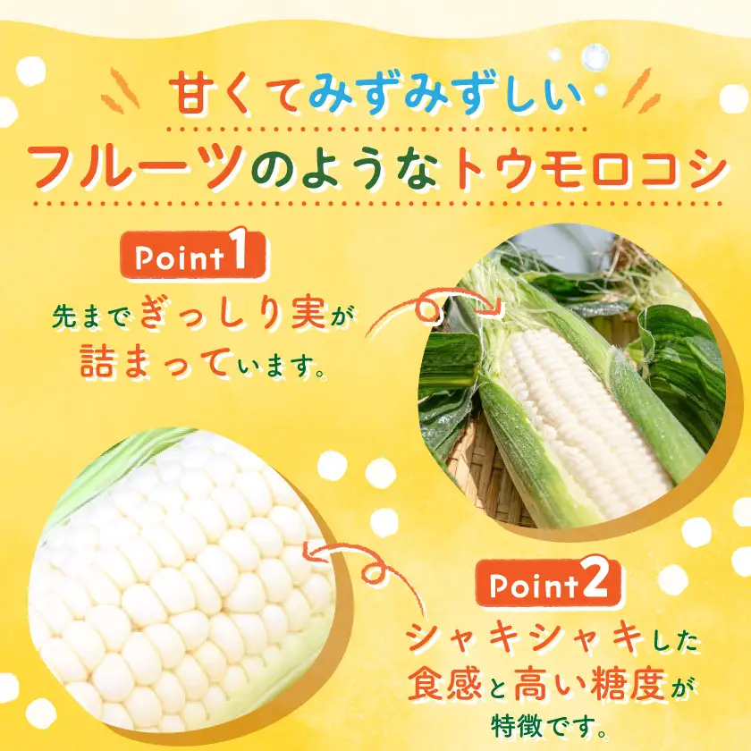 まるでフルーツ 村田農園のパールコーン 10本【大人気の白いとうもろこし(ホワイトコーン)】_野菜 とうもろこし  トウモロコシ_【配送不可地域：離島】【1075298】