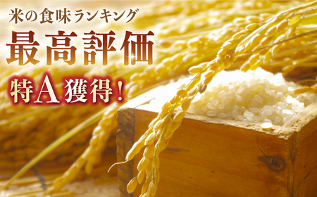 【全3回定期便】夢しずく 白米 10kg（5kg×2袋）【株式会社 JA食糧さが】 [HCM006]