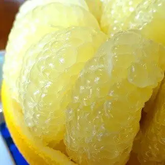 植田農園 土佐文旦 2L～3L10kg 家庭用 文旦［1537-3］