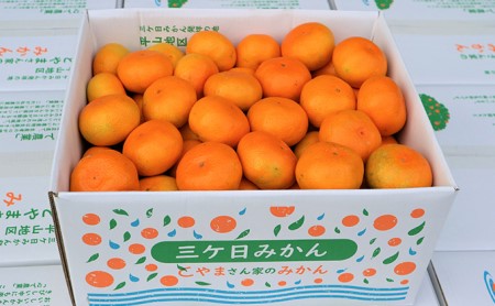 【2025年10月下旬より順次発送】三ヶ日みかん（極早生5kg）光センサー選果 デザート 食後 おやつ こだわりマルチ栽培 糖度 10.5 以上 箱詰め 混載 濃厚 冬の味覚 静岡県産 産地直送 ビタミン サイズ混在